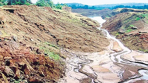 The Wildlife Board informed that no response was given so far, as it is subjugated.