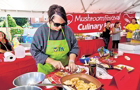 Mushroom Festival in the Kennett Square, the Countryside of Philadelphia.