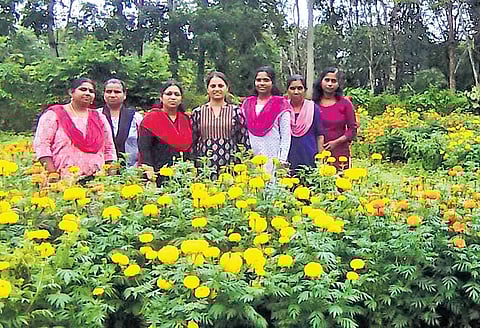 Mary Sheeba (inset) and her friends who are into marigold farming