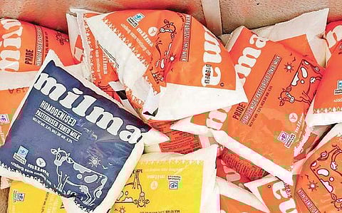 Milma milk packets image used for representation.