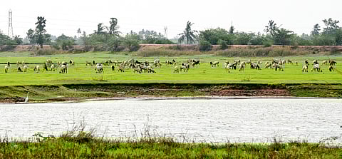 After residents complained about attempts to encroach on the land, HYDRAA teams, along with the revenue officials, carried out a field inspection and confirmed encroachments.