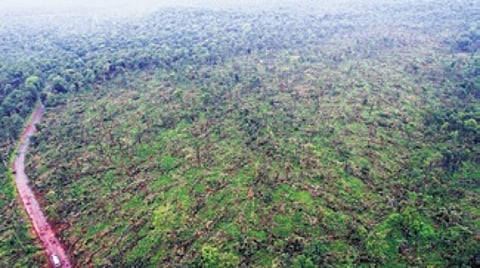 CM Revanth Reddy pegs flood loss at Rs 10K crore, wants disaster norms eased