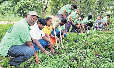 Anandan has planted over 700 trees in Puducherry town alone