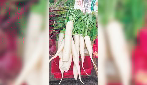 Plans afoot to distribute veggies through Pannai Pasumai shops