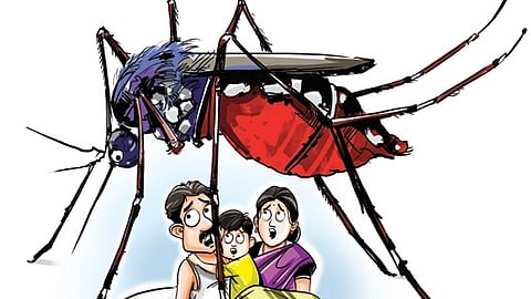 Telangana: Chikungunya bigger menace than dengue at present, say doctors