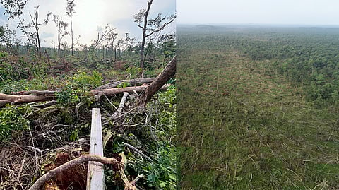 A view of the fallen trees in the Eturnagaram Wildlife Sanctuary in Mulugu district; (R) An aerial view of the affected area near Tadvai-Medaram road.
