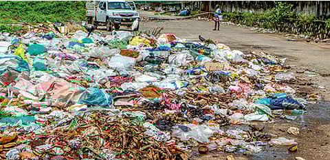 Experts and BBMP officials admit to the rise in garbage dumping on road sides in and around Bengaluru city.