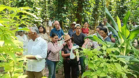 Andhra Pradesh Community Managed Natural Farming programme gains worldwide fame