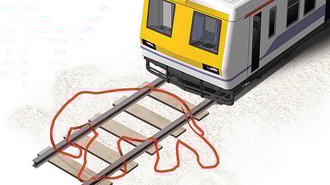 Express illustration