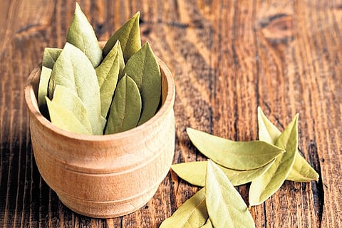 Tejpat is valued not only for its culinary uses but also for its health benefits.