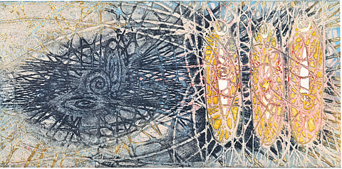 The varied layers of life