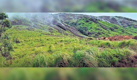 The 7,200-ft-high Chokramudi hills located in Bisonvalley panchayat of Idukki