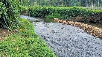 A welcoming arch by the Vithura-Bonacaud road opens the door to an archaeological mystery.