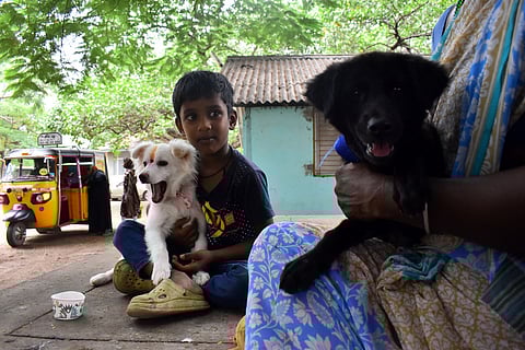 Representative Image.