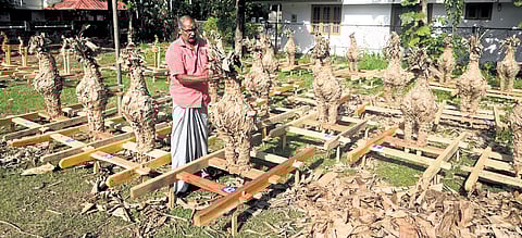 Small swans being readied for the Pooram Padayani celebrations on the premises of the Neelamperoor Palli Bhagavathi temple in Kottayam.