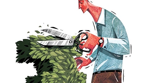 express illustration