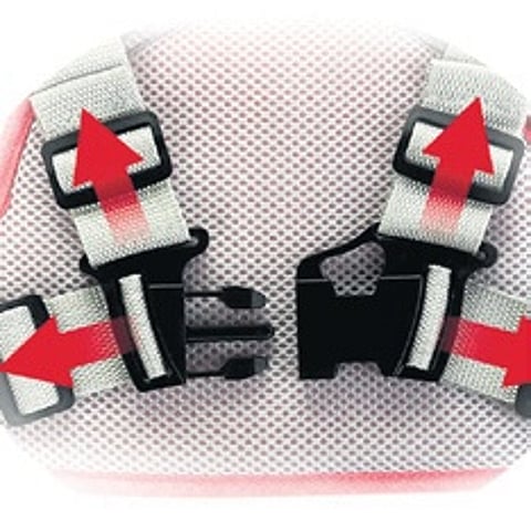 Safety harness must for kids on bikes, violators to be fined soon