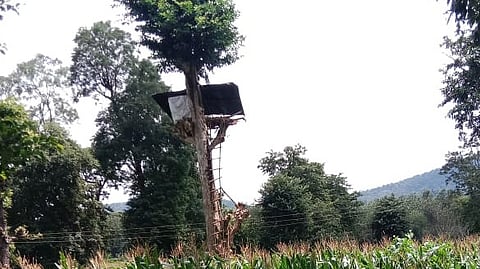 Watchtower overlooking the fields.