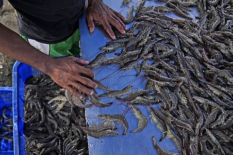 Image used for representational purposes