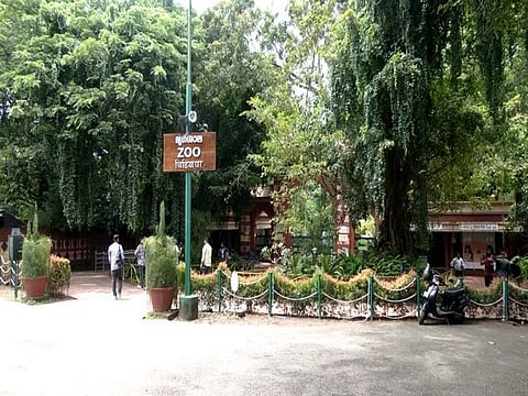 Thiruvananthapuram Zoo image used for representation.