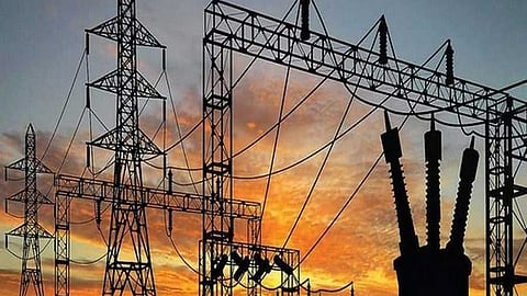 This problem is not just limited to areas surrounding restaurants and eateries, but even residential and commercial spaces.