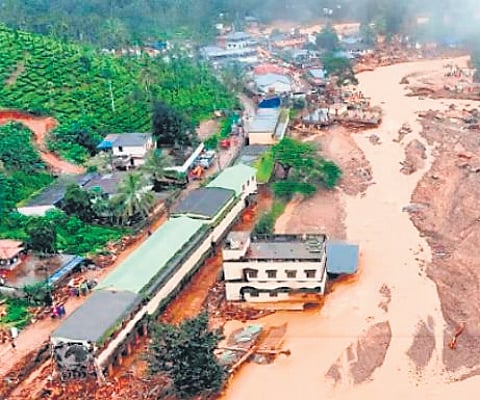 Devastation caused by landslides