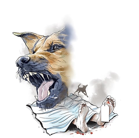 Representative image