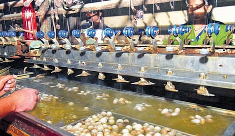 Silkworm officials are working to attract traders from Karnataka to boost sales of crossbreed cocoons in Madanapalle.