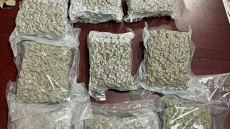 Image of seized ganja used for representational purpose