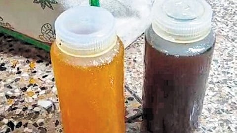 Samples of ghee collected by food safety officer for testing