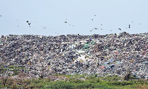 Despite city corporation allocating a spot to dump construction debris on 200 Ft Road in Perungudi, illegal dumping of waste was found by GCC on Saturday