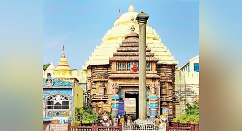 10K kg arpan rice sold for Rs 2.86 crore