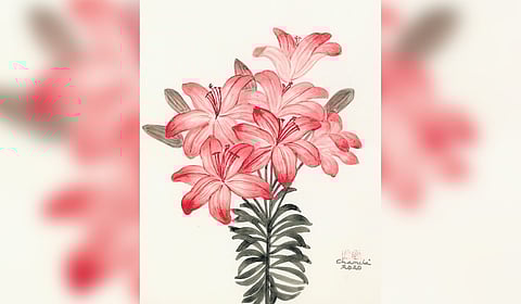 Planting with the palette