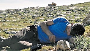 For the love of homeland