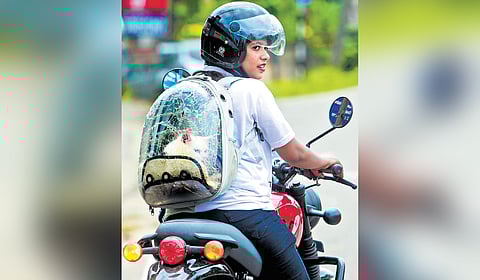 Sajma Salim, 21, a student of the Al Azhar Law College, Thodupuzha, riding a motorcycle with her pet cat -- Shalie -- securely contained in a transparent bag is a regular sight in Thodupuzha.