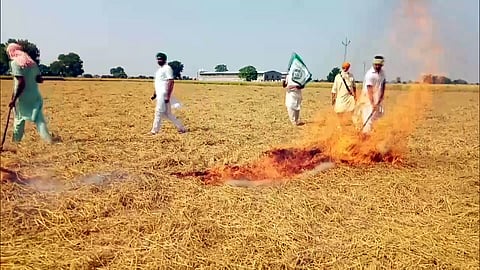 Farmers burn the stubble in a field at Deon village, in Bathinda, Punjab.