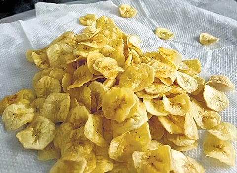Banana chips made using Grand 9 variety at CFST in Pulivendula.