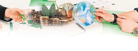 COP29: What should be India's strategy on climate finance?