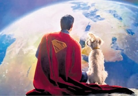 James Gunn’s Superman introduces Krypto the Superdog with a first look