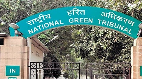 NGT takes suo motu action after deadly firecracker factory blast in UP's Bareilly