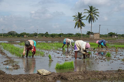 Image used for representational purposes only