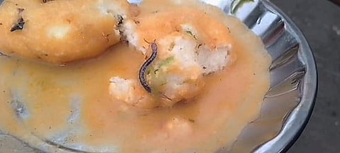 Vada containing Centipede was bought from a bakery in Dindigul town.