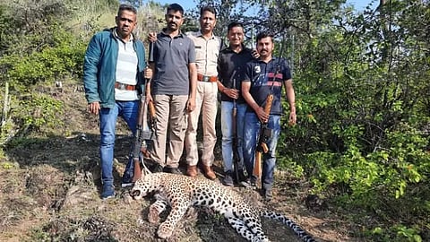 The shooting team with the dead leopard.