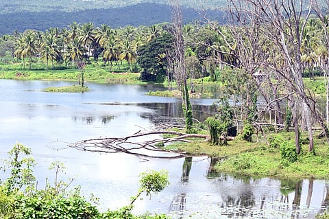 Representational image of a lake view Between Bengaluru and Mysuru Highway.