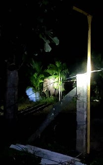 In a video, forest staff allegedly hurled a firecracker very close to the elephant at Nallur Vayal near Karunya Nagar