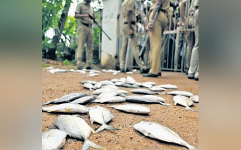 Kerala: Five months since fish kill, blame game continues over non-submission of report