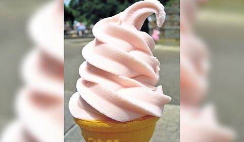 The advance ruling authority’s decision came after VRB Consumer Products, a manufacturer and supplier of dried softy ice cream, sought clarification on the issue