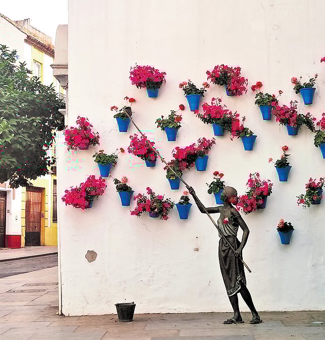 a tribute to the caretakers of the patios
