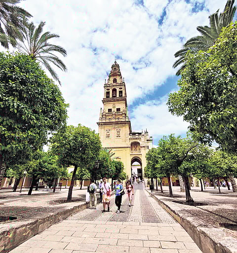 Patio de Los Naranjos