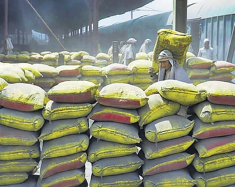 ACC profit crashes 48 per cent to Rs 200 crore in September quarter